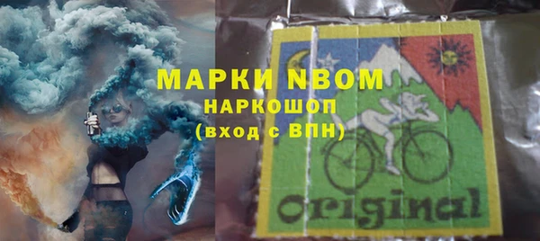 прущие грибы Алексин