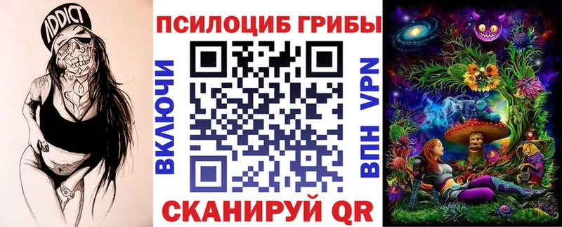 закладка  Нюрба  Псилоцибиновые грибы GOLDEN TEACHER 