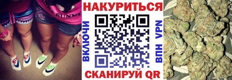 Канабис планчик  Нюрба 