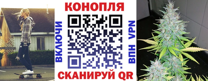 Каннабис планчик Нюрба